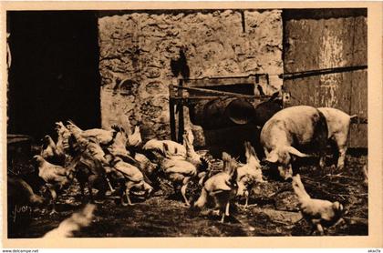 CPA L'Oiseau Bleu - BOISSY-l'AILLERIE (Seine-et-OISE) - La Basse-Cour (290143)