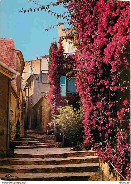 83 - Bormes les Mimosas - Rue fleurie - Fleurs - CPM - Voir Scans Recto-Verso