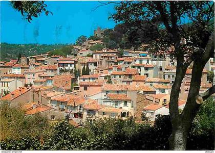 83 - Bormes les Mimosas - Vue Générale - CPM - Voir Scans Recto-Verso