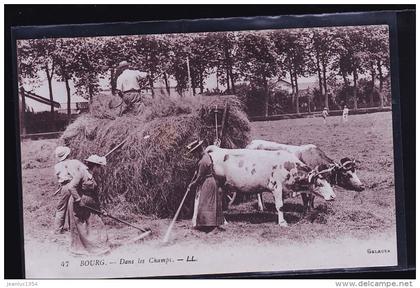 BOURG EN BRESSE LA MOISSON