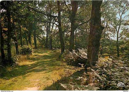 18 - Bourges - Promenade aux environs de Bourges - CPM - Voir Scans Recto-Verso