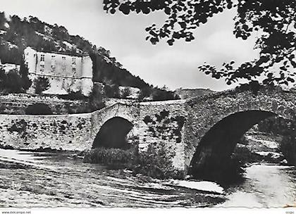 CPSM Environs de Brignoles Château de Vins-sur-Caramy