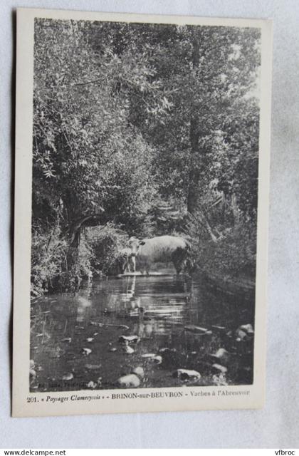 Brinon sur Beuvron, vaches à l'abreuvoir, Nièvre 58