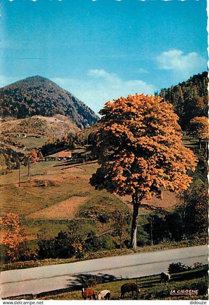 88 - Bussang - Pâturages au Col de Bussang - Moutons - Carte Neuve - CPM - Voir Scans Recto-Verso