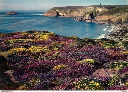 22 - Le Cap Fréhel - Réserve Biologique - Lande et bruyère - Au fond le Cap Fréhel et le Phare - CPM - Voir Scans Recto-