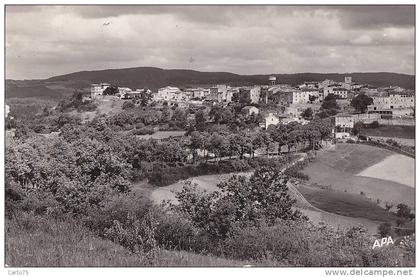 Castelnau de Montmirail 81 -  Vue générale