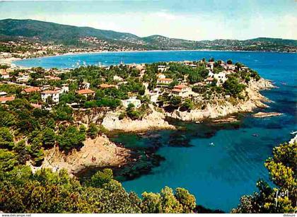 83 - Cavalaire sur Mer - Vue sur le Cap - CPM - Voir Scans Recto-Verso