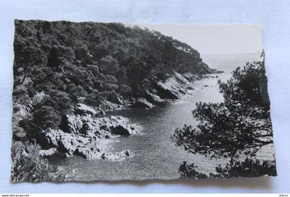 J172, Cpsm 1959, Cavalaire sur mer, la corniche des Maures, Var 83