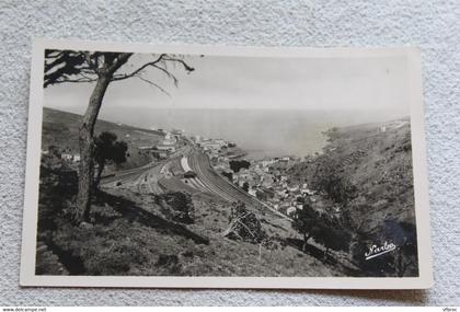 Cpsm, Cerbere, vue panoramique, Pyrénées orientales 66