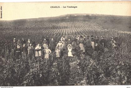 Carte POSTALE  Ancienne de CHABLIS - les VENDANGES