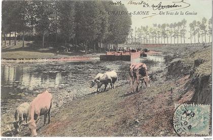 Chalon-sur-Saône - Un Bras de la Genise