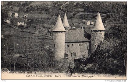 CHAMBORIGAUD CHATEAU DE MONTJOYE