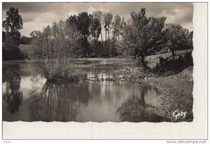 CHAMPDENIERS SAINT DENIS. - Etang de Neufchaise.