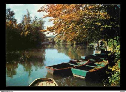 94 - Champigny sur Marne - Les Bords de la Marne - CPM - Voir Scans Recto-Verso