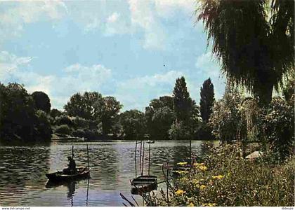 94 - Champigny sur Marne - Pêche à la ligne sur les Bords de Marne - CPM - Voir Scans Recto-Verso