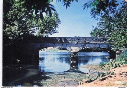 89 CHAMPS SUR YONNE LE PETIT PONT SUR L YONNE