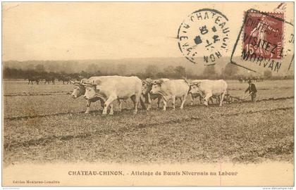 CPA Chateau Chinon  s/58/47