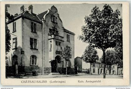 51637183 - Chateau-Salins