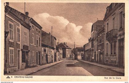 Carte postale ancienne de CHATEAU SALINS