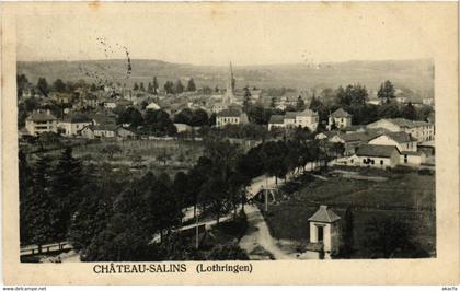 CPA AK CHATEAU-SALINS (471155)