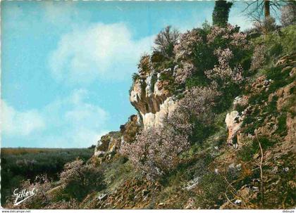 16 - Chateauneuf sur Charente - Les Rochers de La Font qui Pisse - Mention Photographie Véritable - Carte Dentelée - CPS