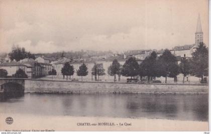 CHATEL SUR MOSELLE(ARBRE)