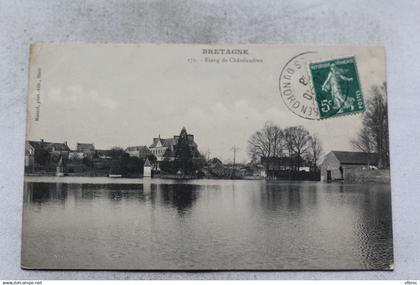 Etang de Châtelaudren, Cotes d'Armor 22