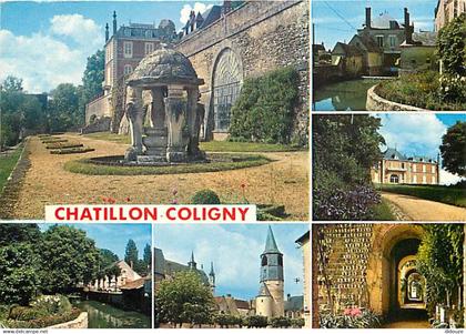 45 - Chatillon-Coligny - Multivues - CPM - Voir Scans Recto-Verso