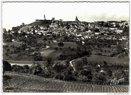 Carte Postale Ancienne de CHATILLON SUR MARNE-vue générale