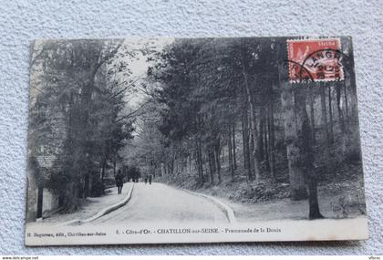 Chatillon sur Seine, promenade de la Douix, Cote d'Or 21