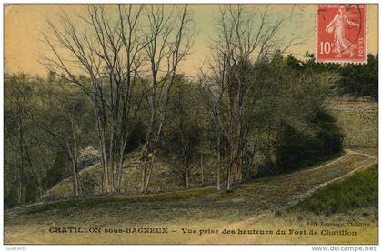 ( CPA 92)  CHÂTILLON-SOUS-BAGNEUX  /  Vue prise des hauteurs du Fort de Châtillon  -