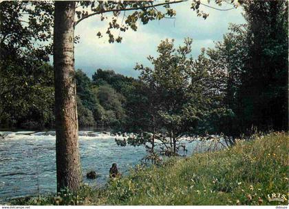 86 - Chauvigny - Les Bords de la Vienne - CPM - Voir Scans Recto-Verso