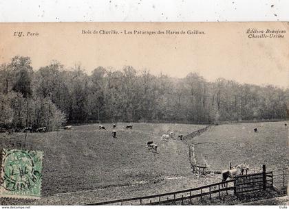 BOIS DE CHAVILLE LES PATURAGES DES HARAS DE GAILLON