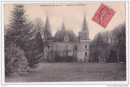 Chemillé - Château de Salboeuf