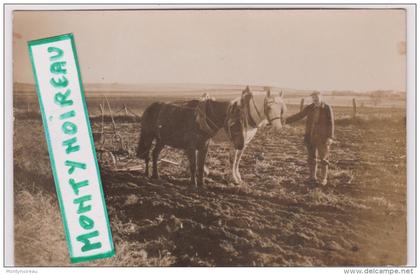 calvados :  CLECY , Clécy-   ( prés  Condé sur  noireau- Pont D ´ Ouilly)R Desaunay :  champ  agriculture  1948