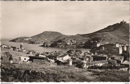 CPA COLLIOURE vue sur la ville (144504)