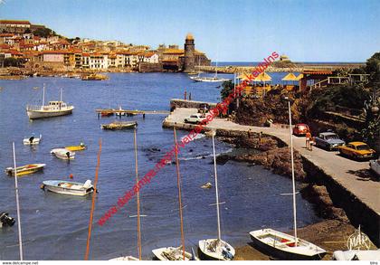 Le port - Collioure - (66) Pyrénées Orientales