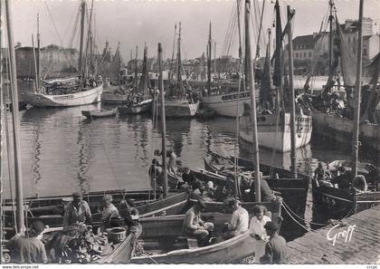 CPSM Concarneau Le Port