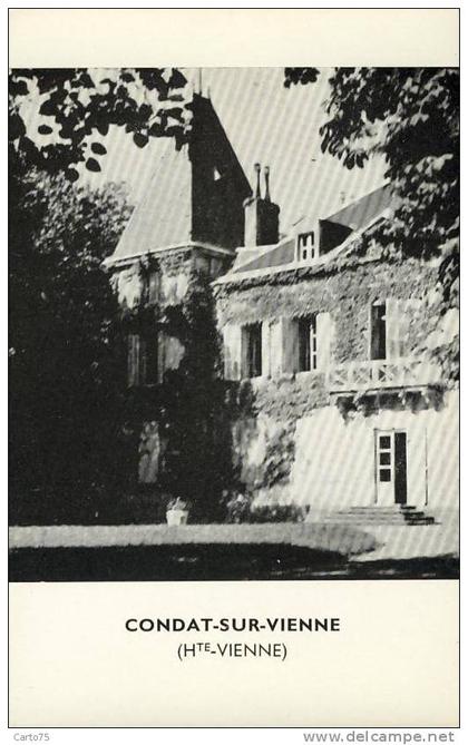 Condat sur Vienne 87 - Château Domaine