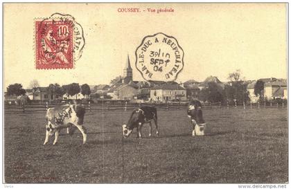 Carte Postale Ancienne de COUSSEY