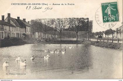 CPA Crêvecoeur-le-Grand Avenue de la Prairie