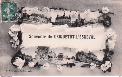 Criquetot L'Esneval - Souvenir   - CPA °J