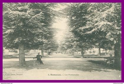 * DAMAZAN - Les Promenades - Animée - Edit. ALLEGRE - 1906