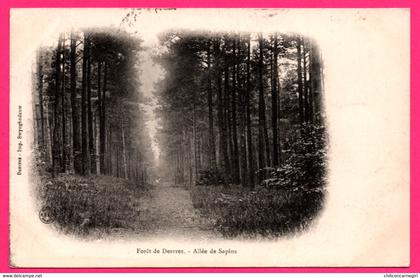 Forêt de Desvres - Allée de Sapins - Imp. SWYNGHEDAUW - 1904 - Oblit. DESVRES