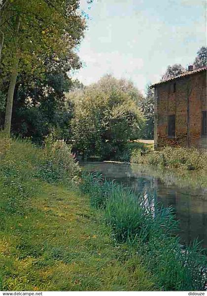 52 - Doulevant le Château - Vue sur rivière - CPM - Voir Scans Recto-Verso