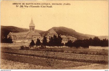 CPA Dourgne Vue d'Ensemble FRANCE (1016344)