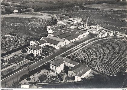 CPSM Elne Distillerie Coopérative