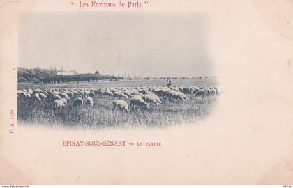 EPINAY SOUS SENART(MOUTON)