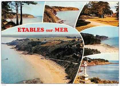 réf : D.V.13-247  :  Etables sur Mer