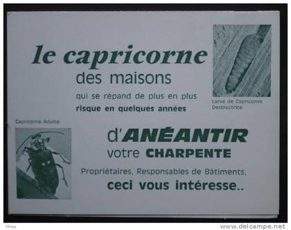 42 Feurs capricorne carton publicitaire    D42D  K42094K  C42094C RH052620